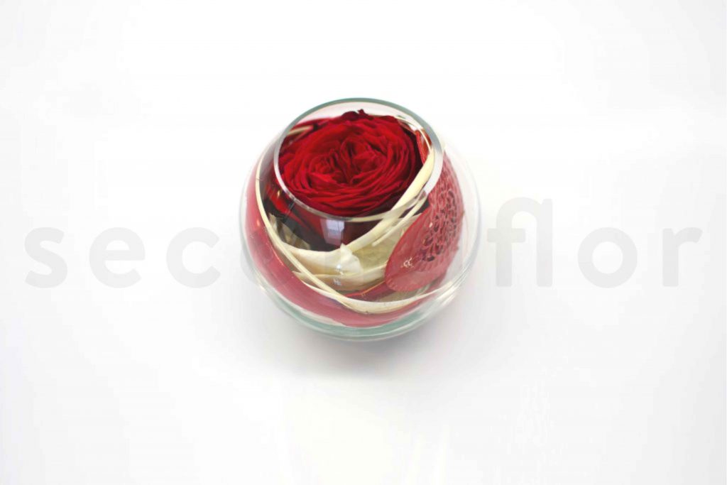 rose rouge stabilisee dans un verre 
