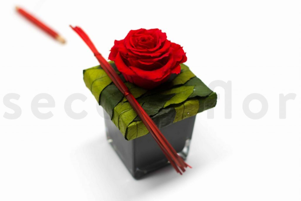 rose rouge dans un cube stabilisee do it yourself tutoriel pour les fleuristes