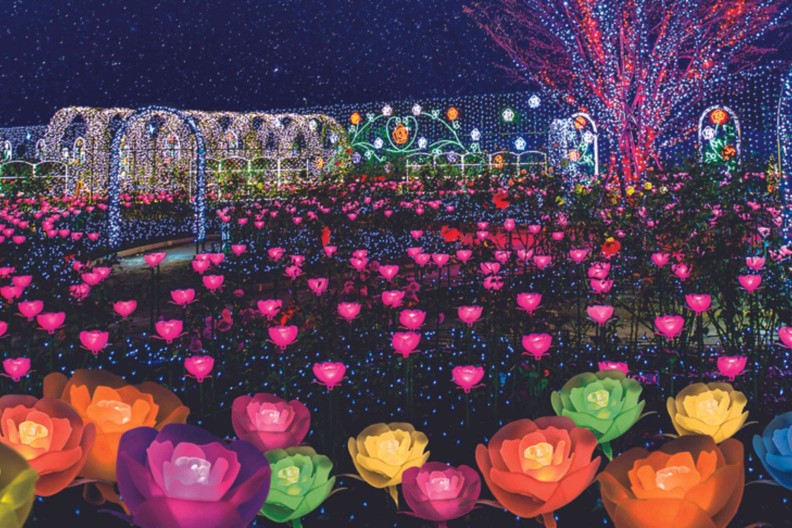floral night show in ashikaga park