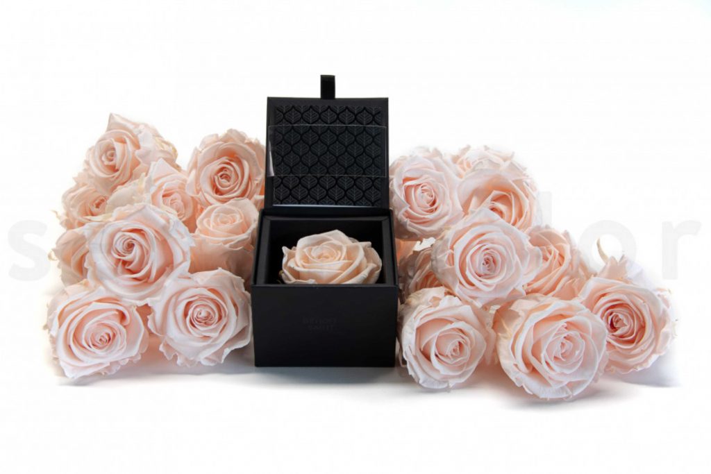 le secret rose rose dans un écrin noir luxuriant ideal pour faire des ventes additionnelles lors de fetes commerciales