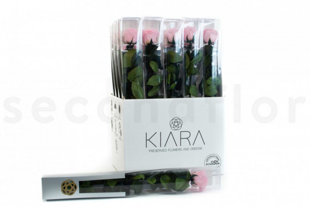 roses sur tiges rose kiara ideal pour faire des ventes additionnelles lors de fetes commerciales
