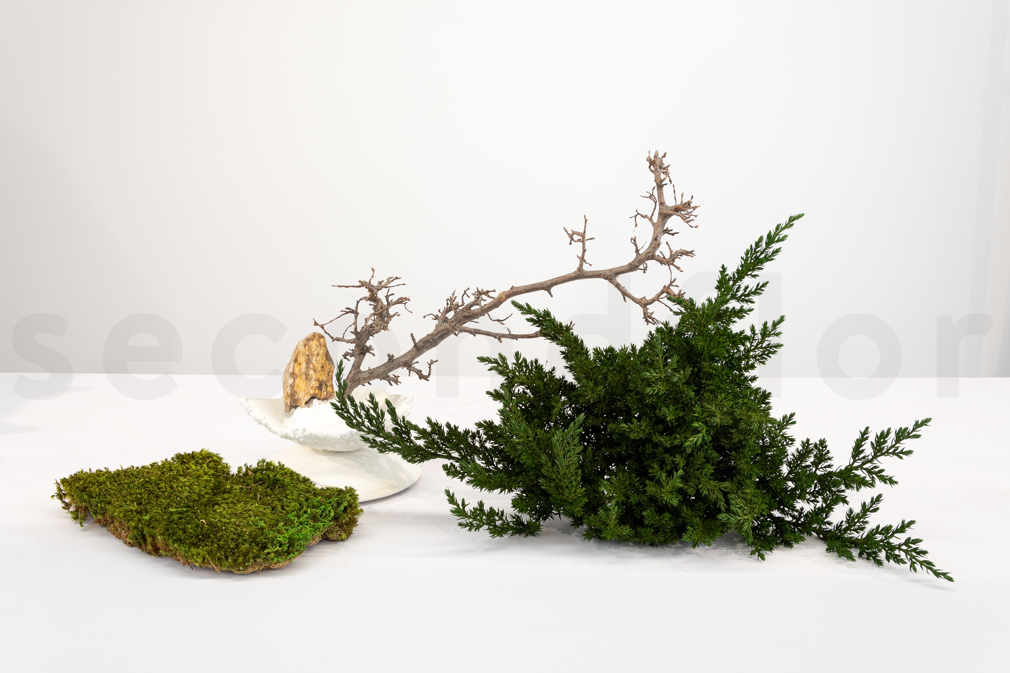 materiel necaissaire pour le works juniperus branche mousse