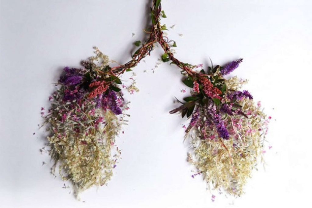 poumons en fleurs stabilisées stabilised flower lungs 